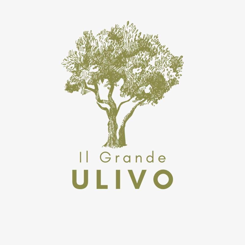Il Grande Ulivo photo 1