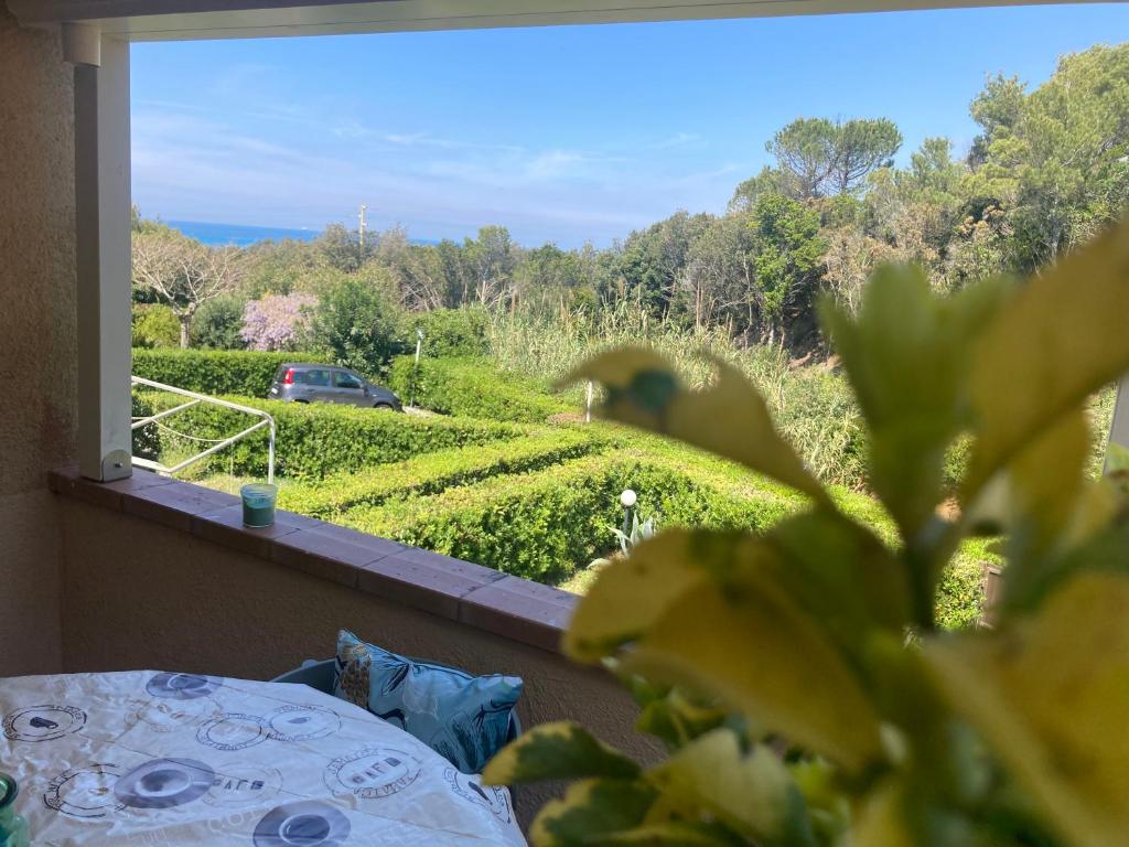 Oasi verde con terrazza sul mare e con piscina photo 4