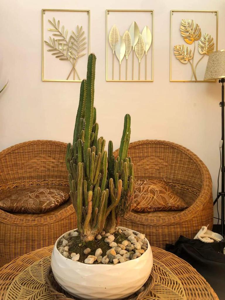 Dicimulacion Staycation House photo 3