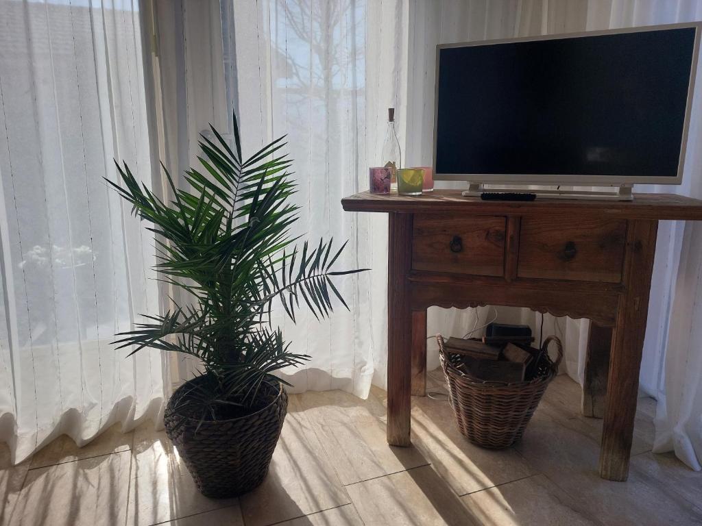 Cosy Petten, Family only photo 2