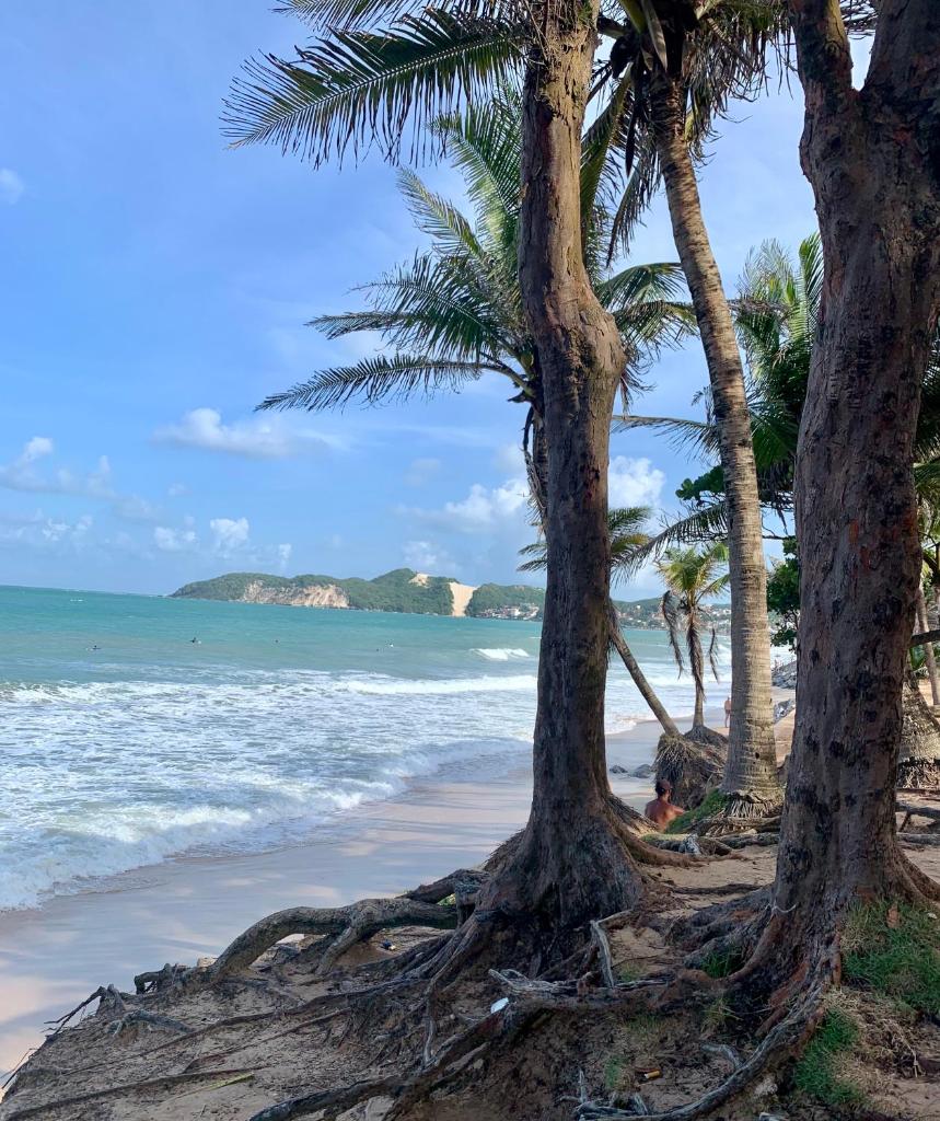 Praia de Ponta Negra Natal Rn photo 4