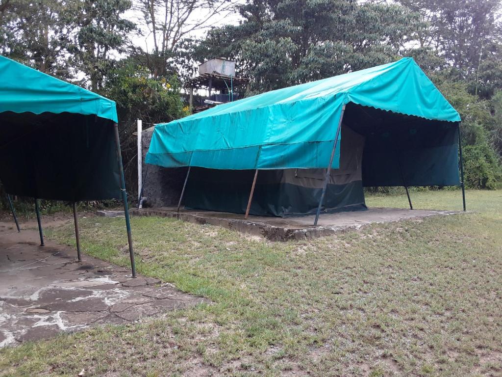 Cactus Eco Camp and Lodge photo 1