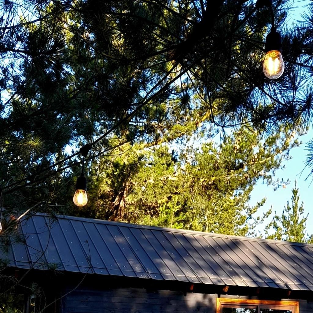 Tiny house Riveras Rentals photo 2