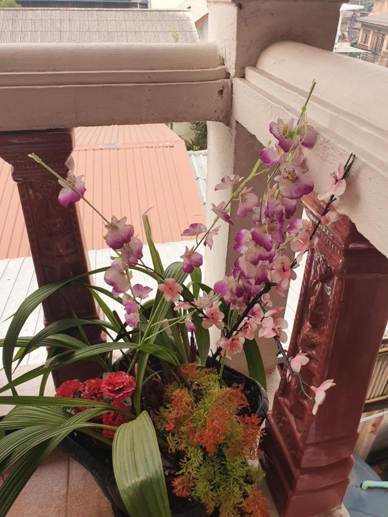 Like Home photo 4