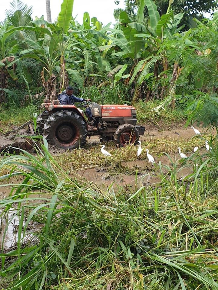 Monara Arana Farm Resort photo 4