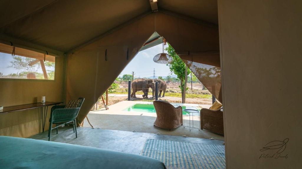 Elephant View Camp photo 1