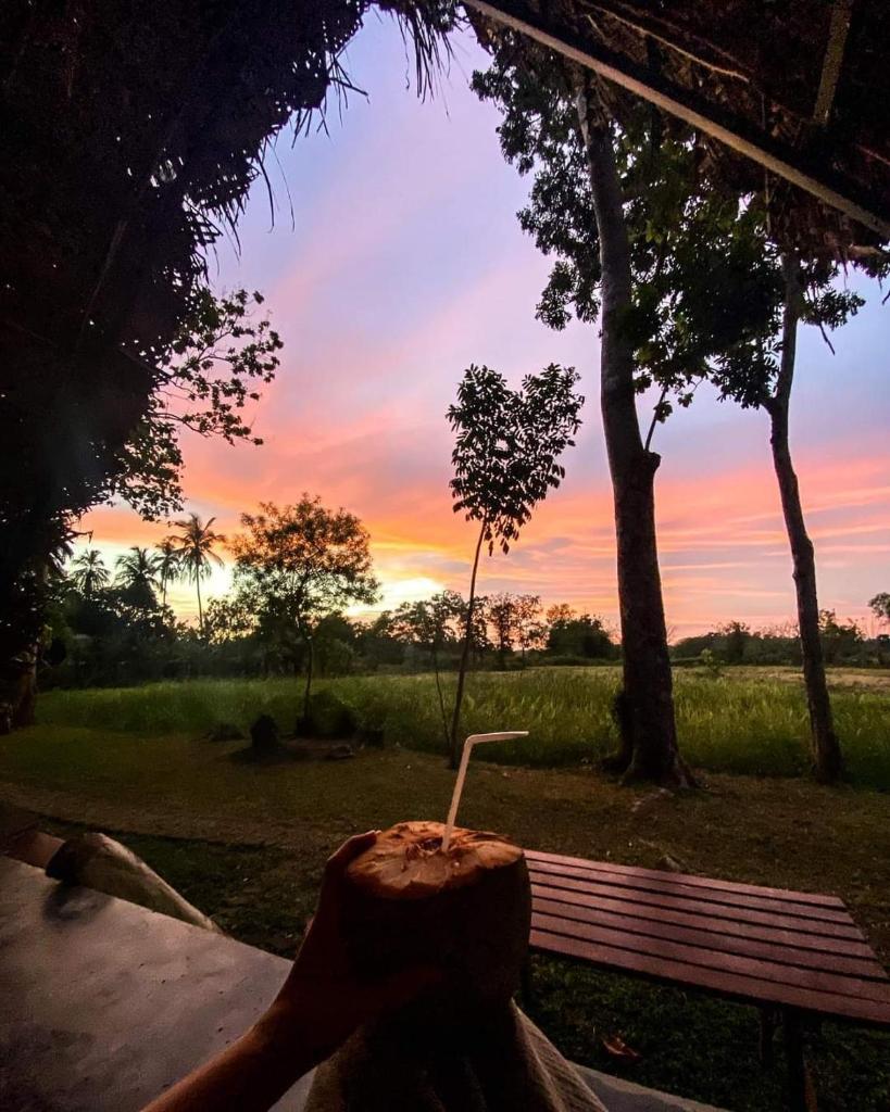 Monara Arana Farm Resort photo 2