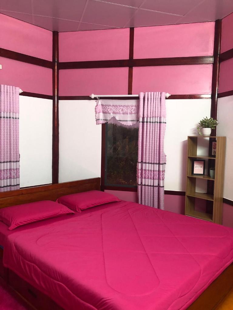 PINK HOUSE SA ĐÉC (Ngôi nhà màu hồng) photo 2