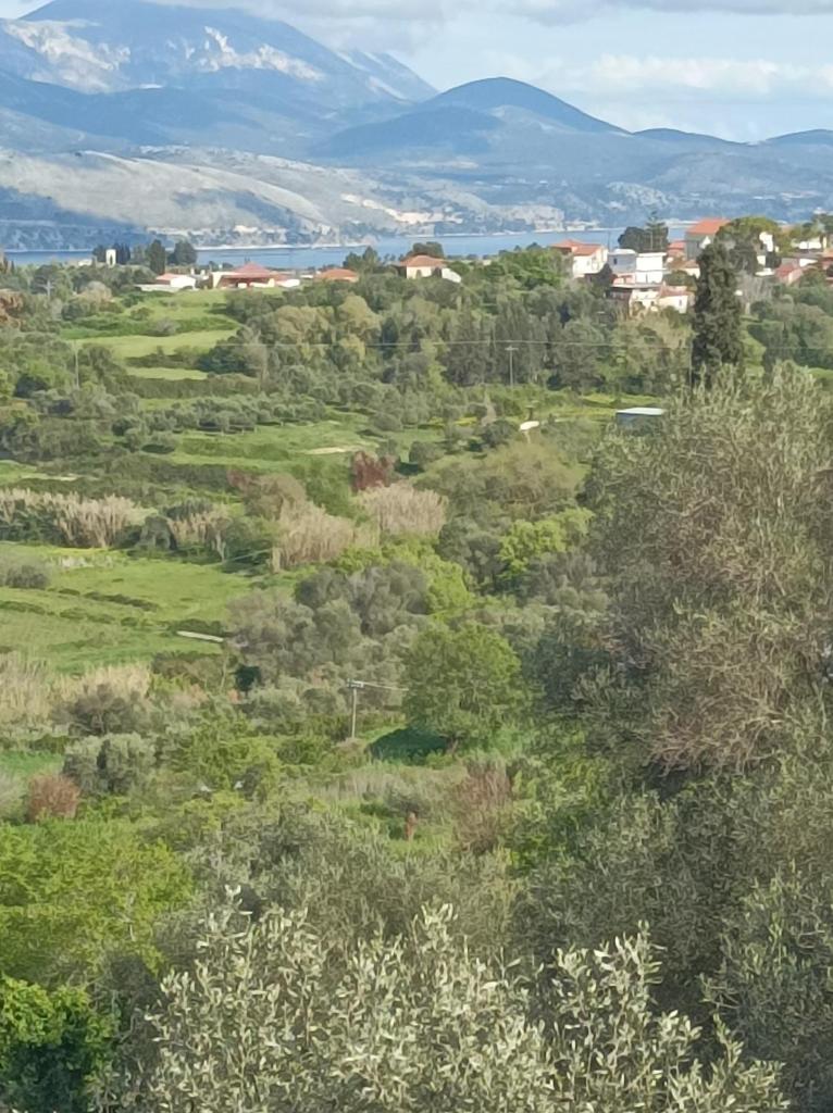 Dina's House photo 2