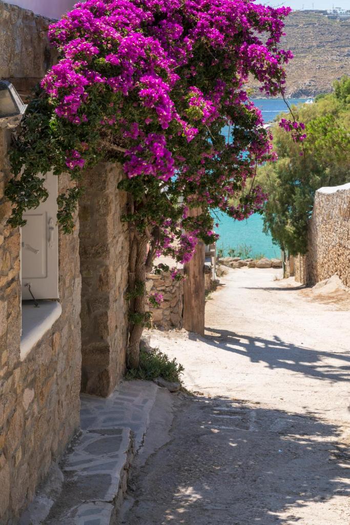 myMykonos Guest House photo 1