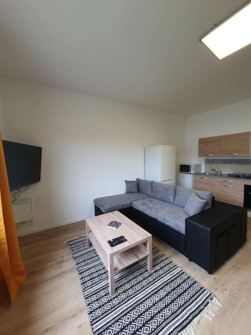 Appartement neuf, très lumineux photo 4