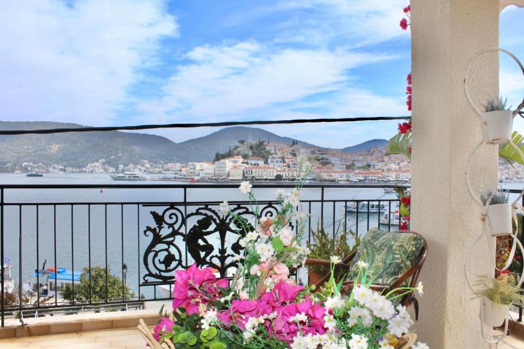 SuiteViewPoros photo 1