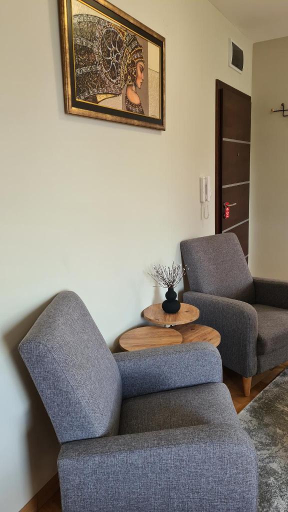 MS Apartman photo 4