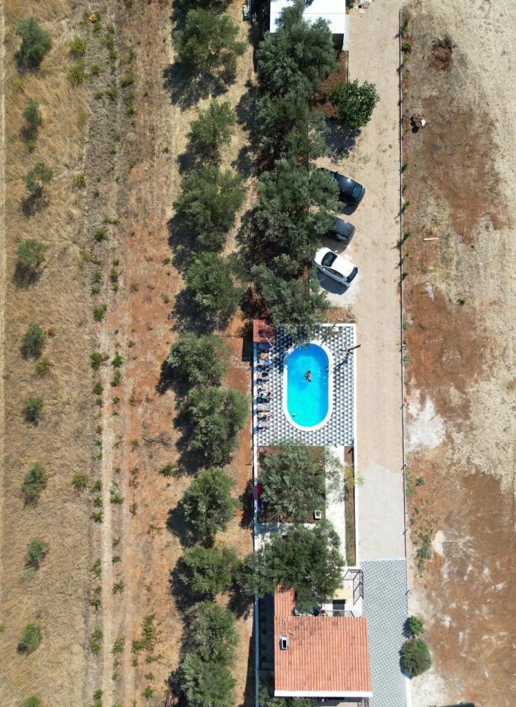 Apartments Olea photo 3