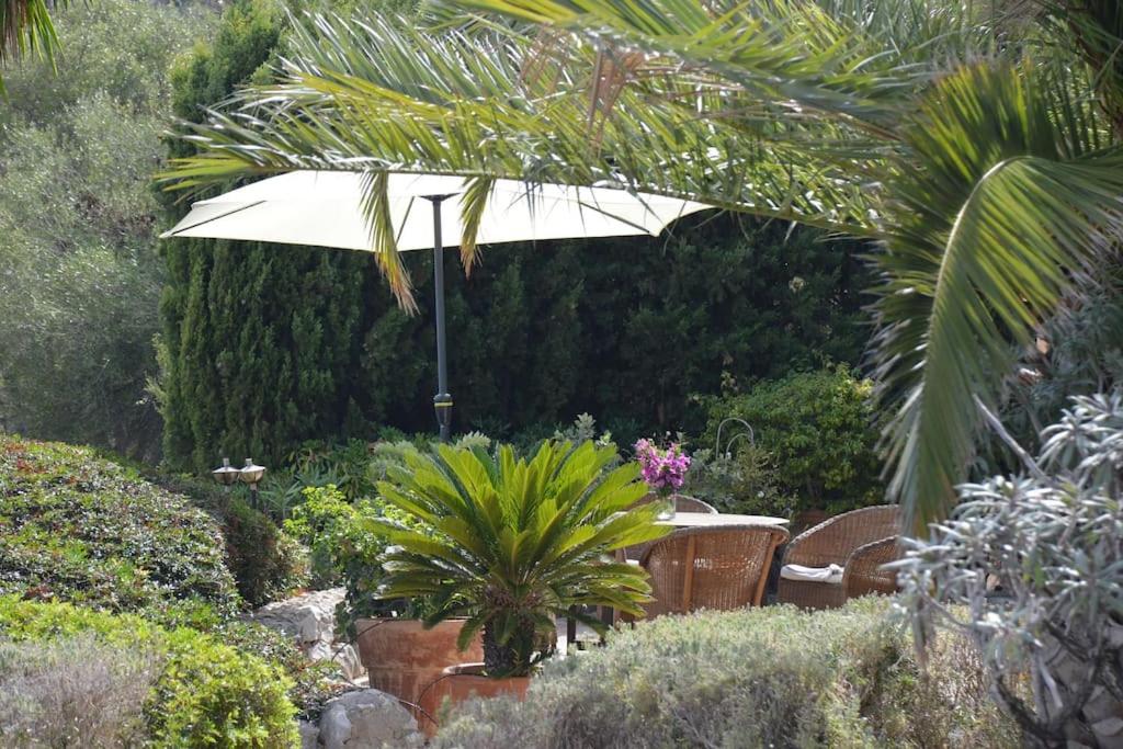 Finca Casa Rubi with Pool and ocean view photo 3