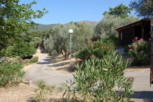 Gites Chalets de Grosseto-Prugna photo 3