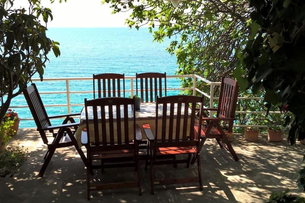 House by the sea photo 4