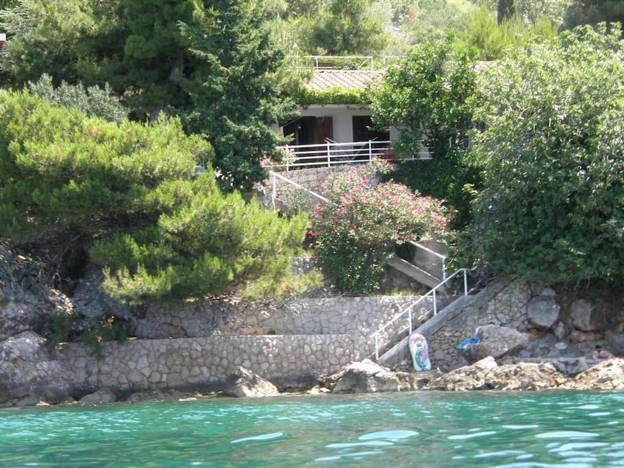 House by the sea photo 2