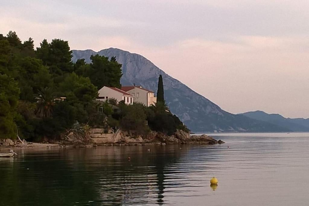 House by the sea photo 1