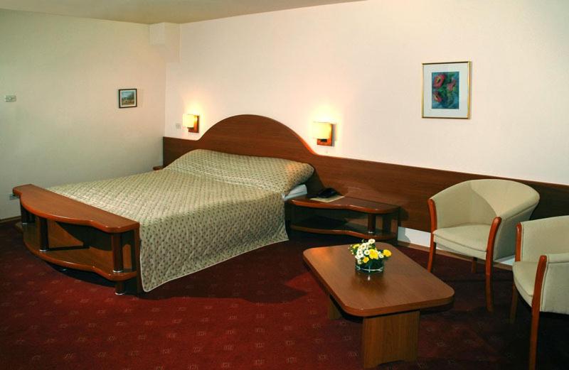 Двухместный (Двухместный номер с 1 кроватью), Hotel Irisa