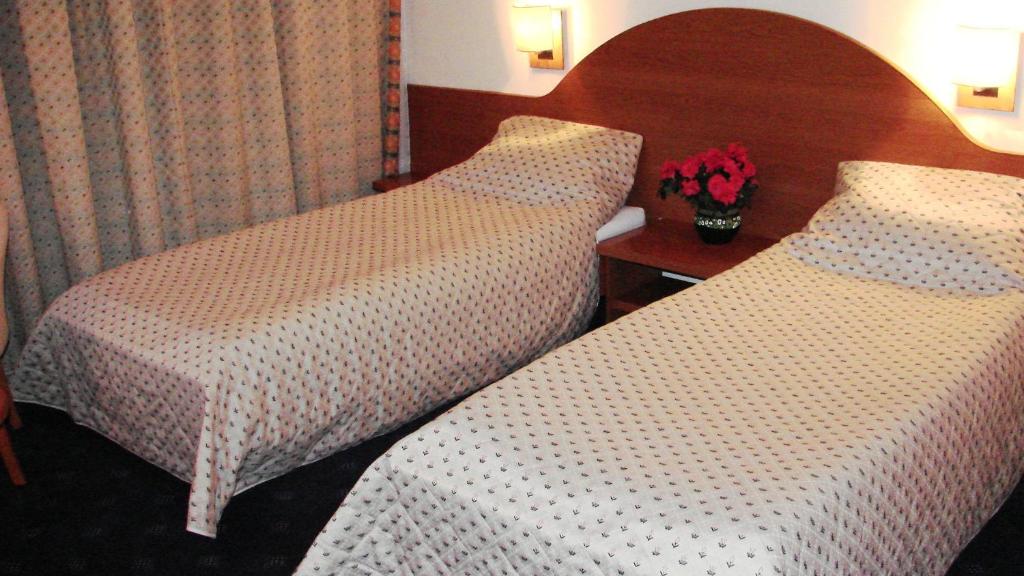 Двухместный (Двухместный номер с 2 отдельными кроватями), Hotel Irisa