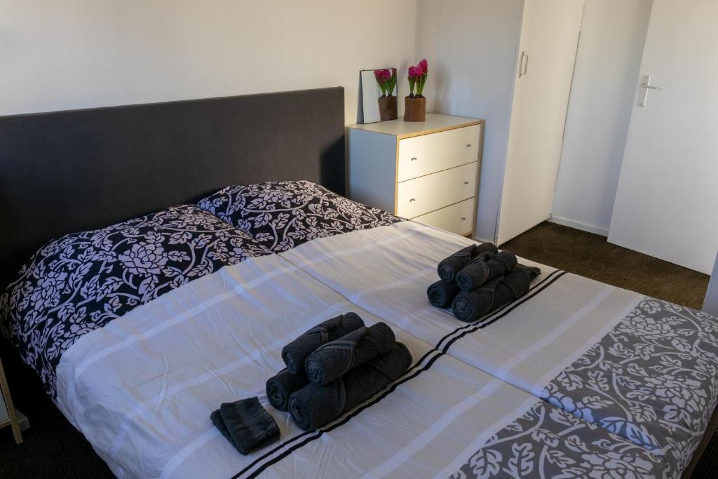 Luxe Chalet Strubben-Kniphorstbos Anloo photo 2