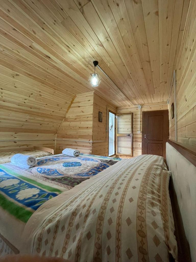 Guest House Rrashkadoli photo 3