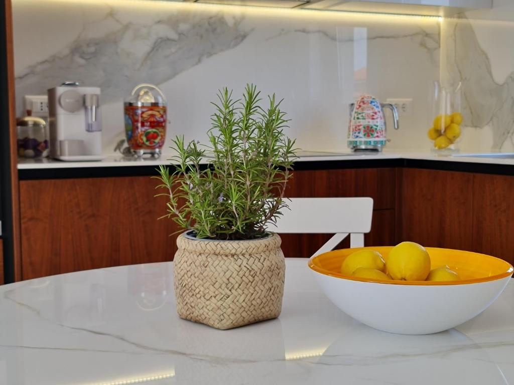 NEW!!! 2023 MAREA apartments with XXL Sunny Terrace photo 3