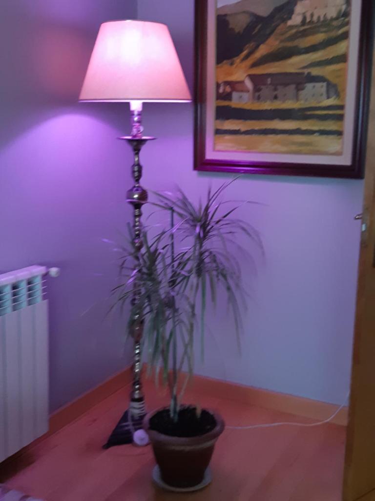 Habitacion en Centro de Las Rozas de Madrid photo 4