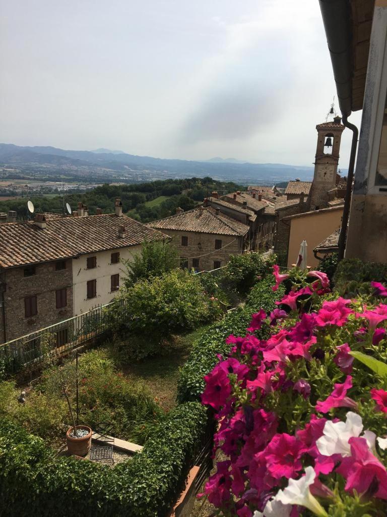 Casa Belvedere photo 2