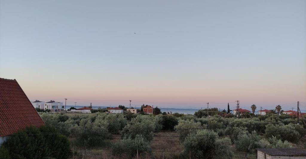 Olive tree house photo 2