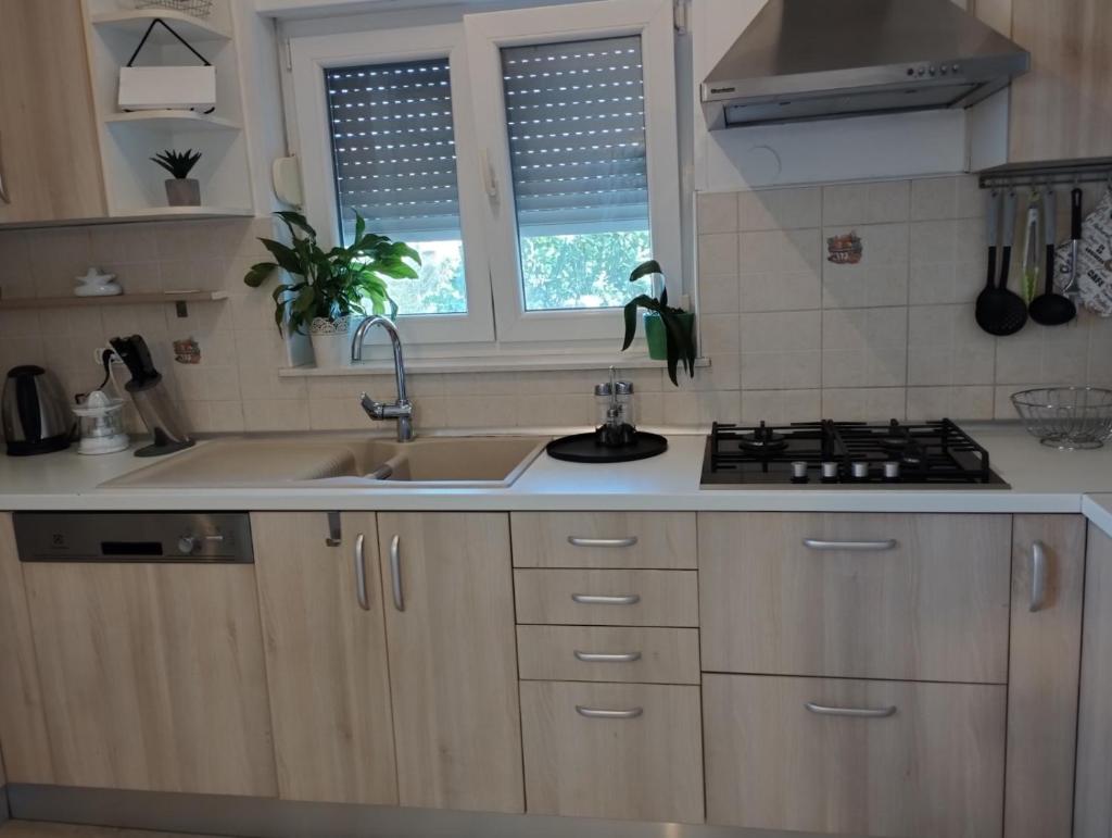 Apartmani Lučica photo 4