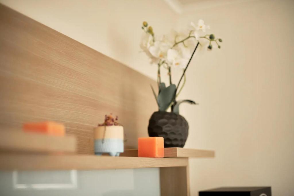 BoLofts photo 3