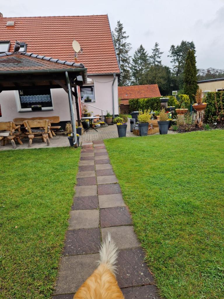 Ferienhaus Schneider photo 4