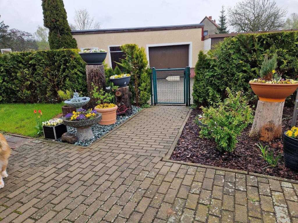 Ferienhaus Schneider photo 1
