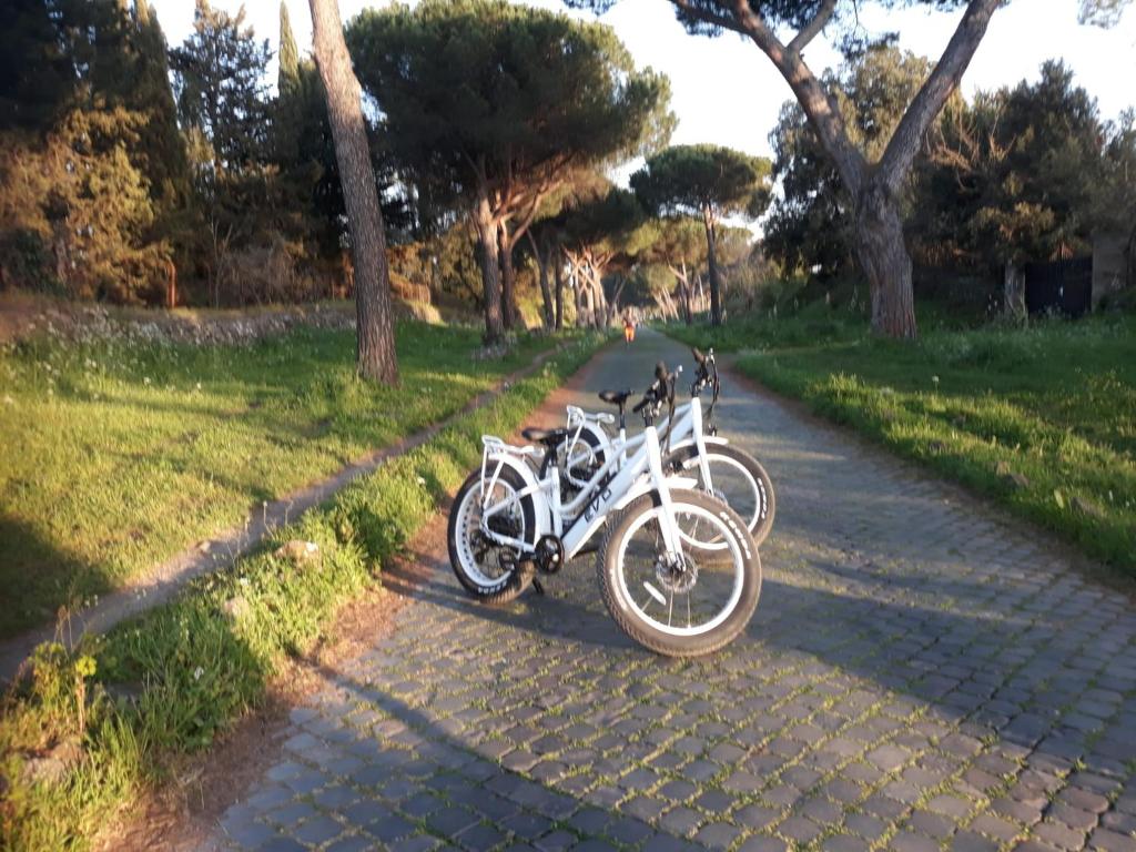 Bici Grill Decimo Miglio photo 4