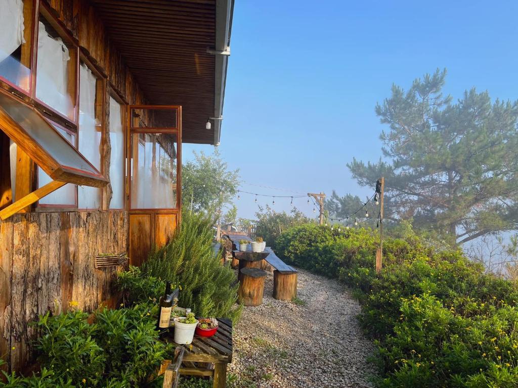 Nguyên căn - Góc sân và Khoảng trời Dalat Homestay