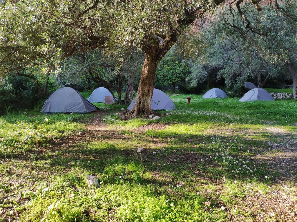 Gjipe Eco Campground photo 1