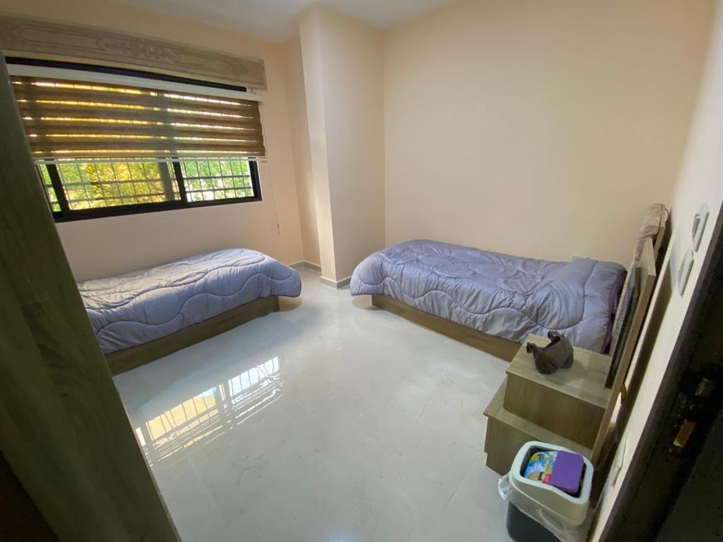 Moon Apartments photo 4