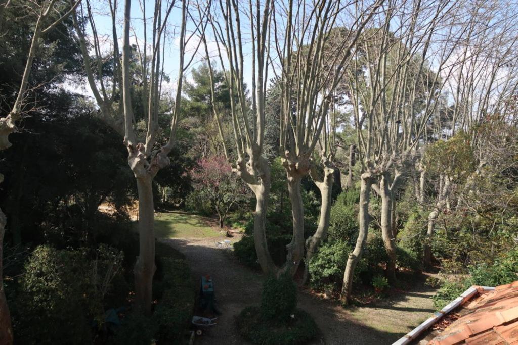 Gîte de l'arbre perché à Langel photo 2