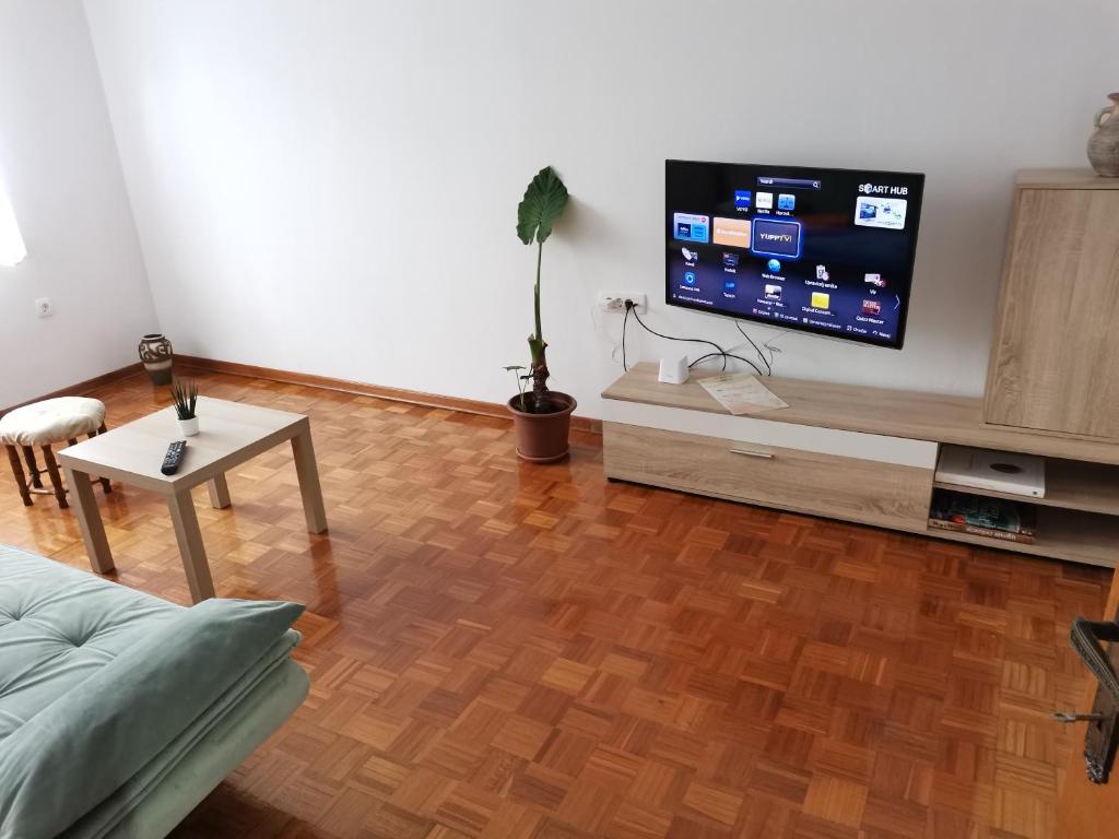 Apartma David photo 2