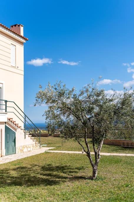 Gustav Retreat Villa photo 4