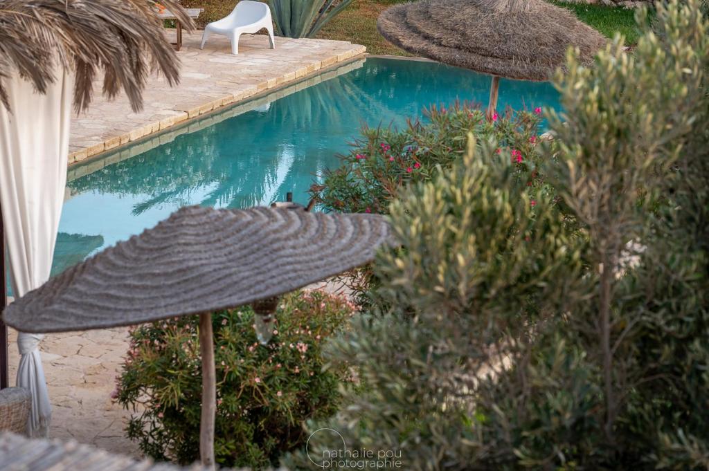 Dar Alya Essaouira Maison et table d'hôtes photo 2
