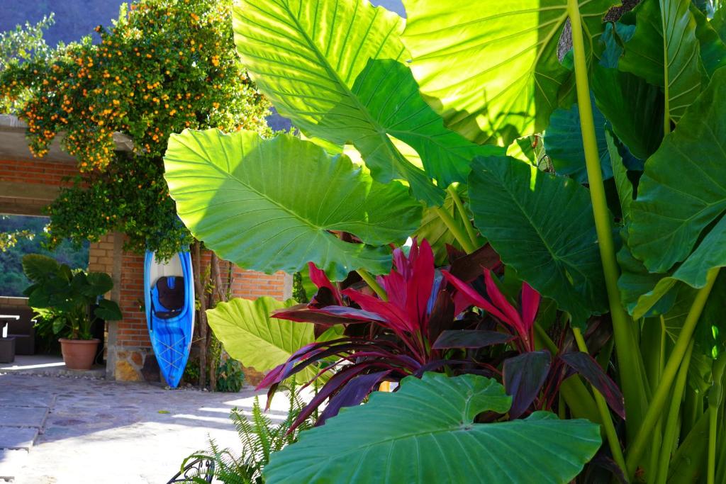 Hotel Villa de Urike photo 3