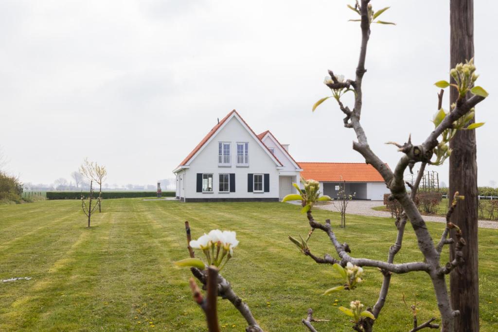 Belvedere Groede photo 1