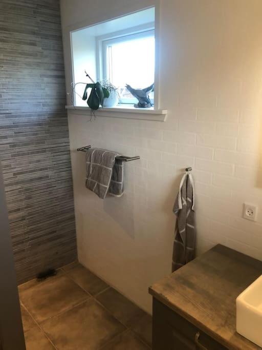 hyggeligt byhus tæt ved skov og togstation photo 4