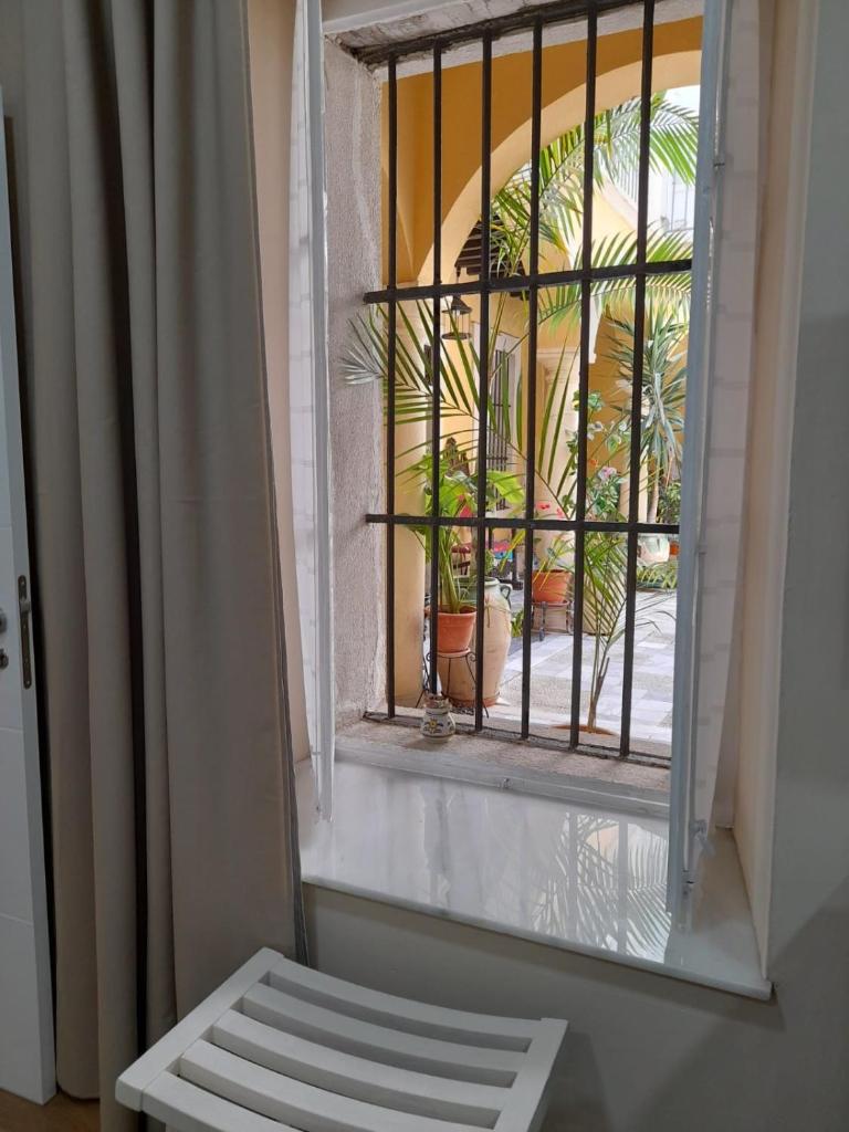 CASA DEL ANTICUARIO APARTMENTS photo 1