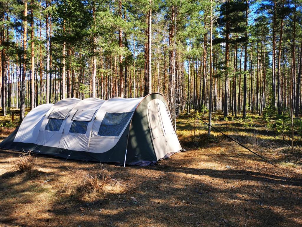 Volledig ingerichte tent op natuurcamping photo 3