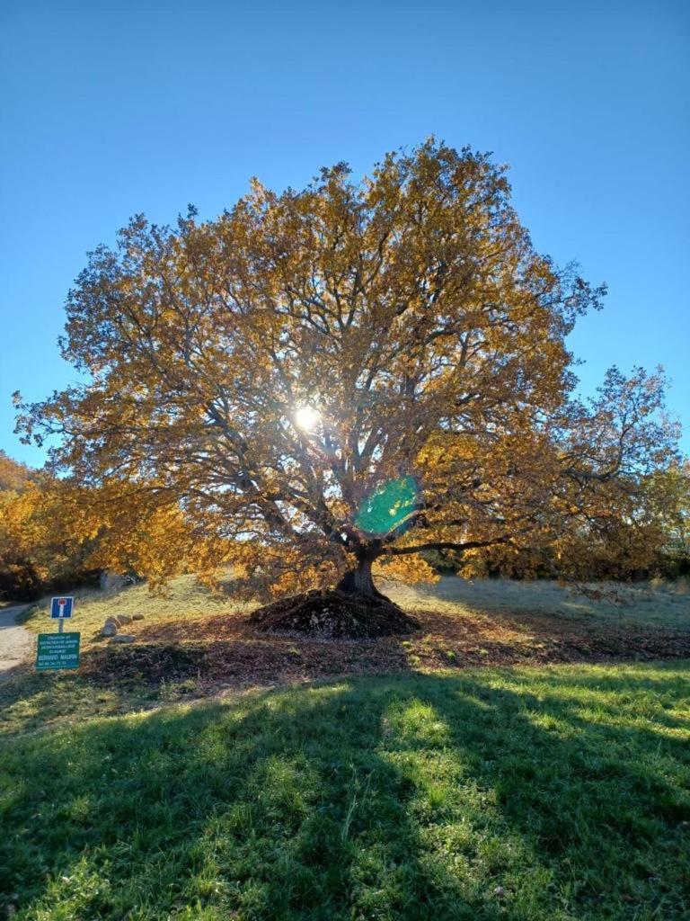 스튜디오 아파트