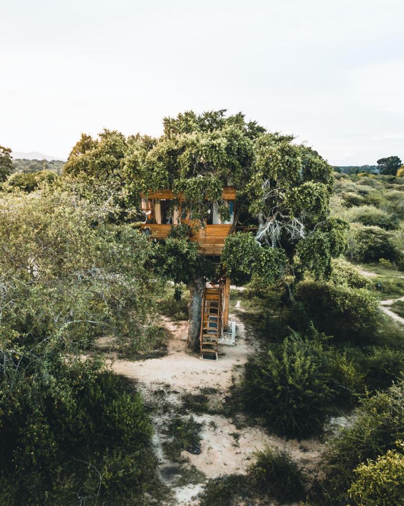 Treehouse Glamping by Glamp Collection photo 1